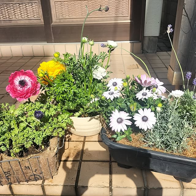 aoiroさんの部屋