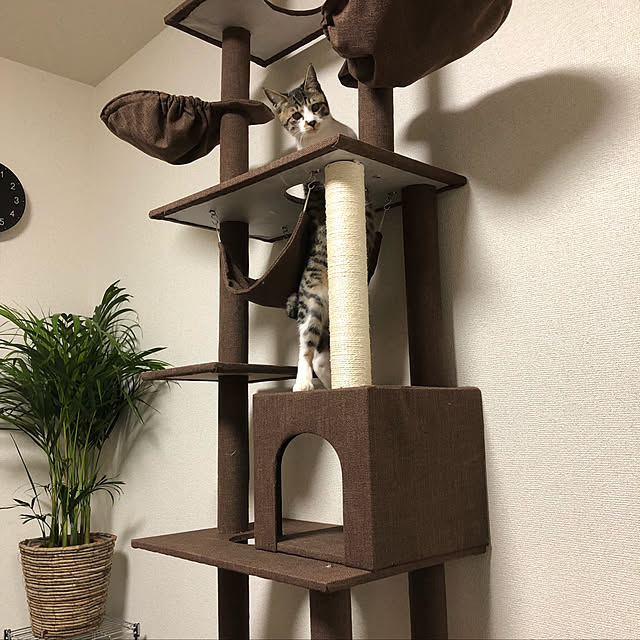necomaru.comさんの実例写真