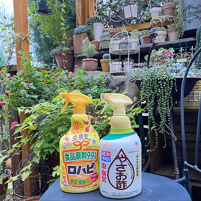 mintteaさんの実例写真