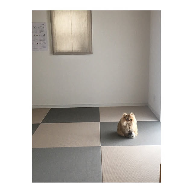 Hiromiさんの実例写真
