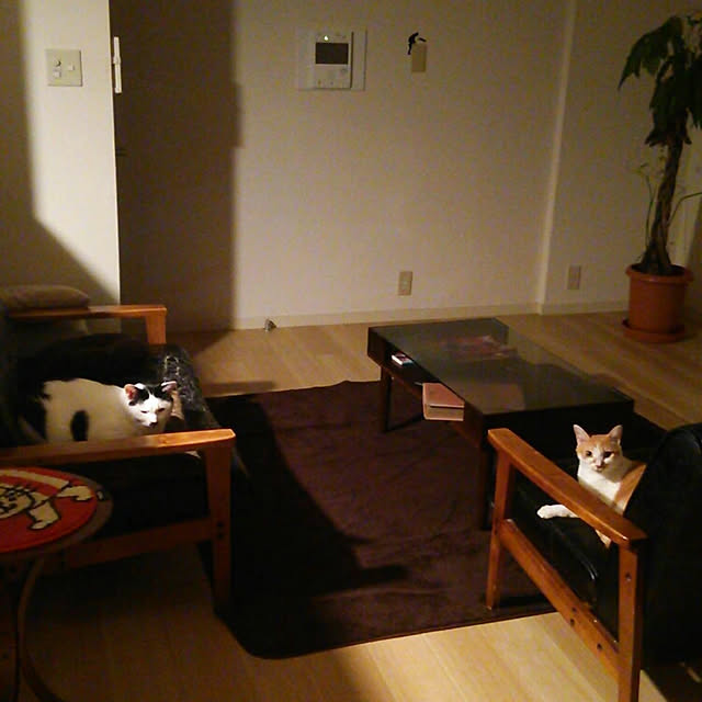 noguchiken0102さんの実例写真