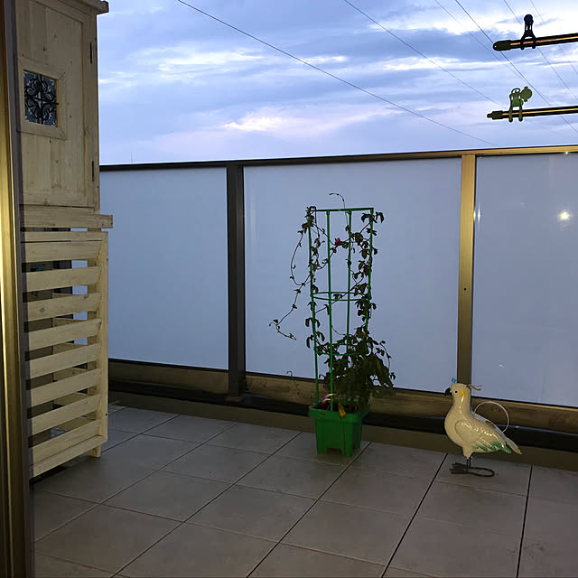 cantikさんの実例写真