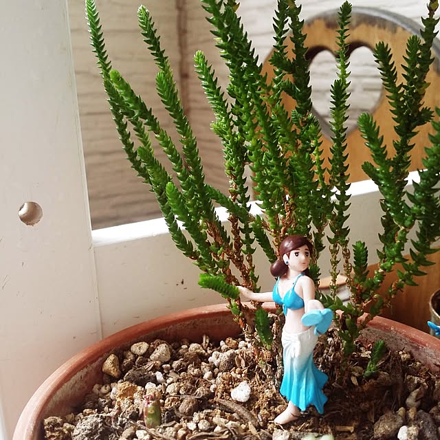 kanaさんの実例写真