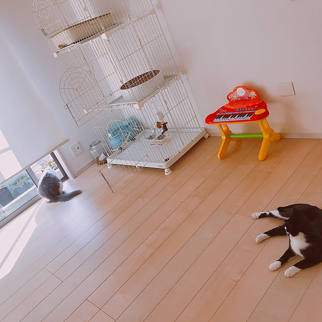 Amelieさんの実例写真