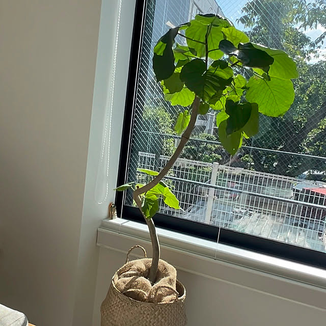lrikaさんの部屋