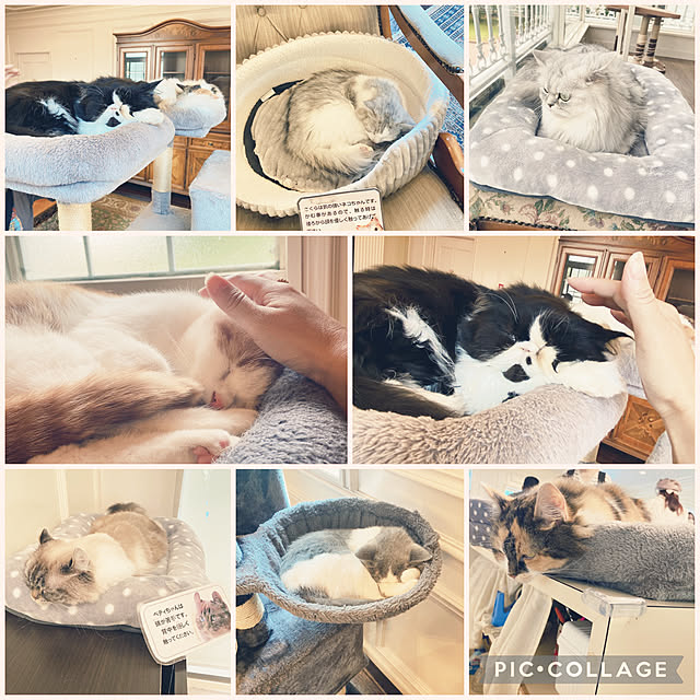 moolさんの実例写真