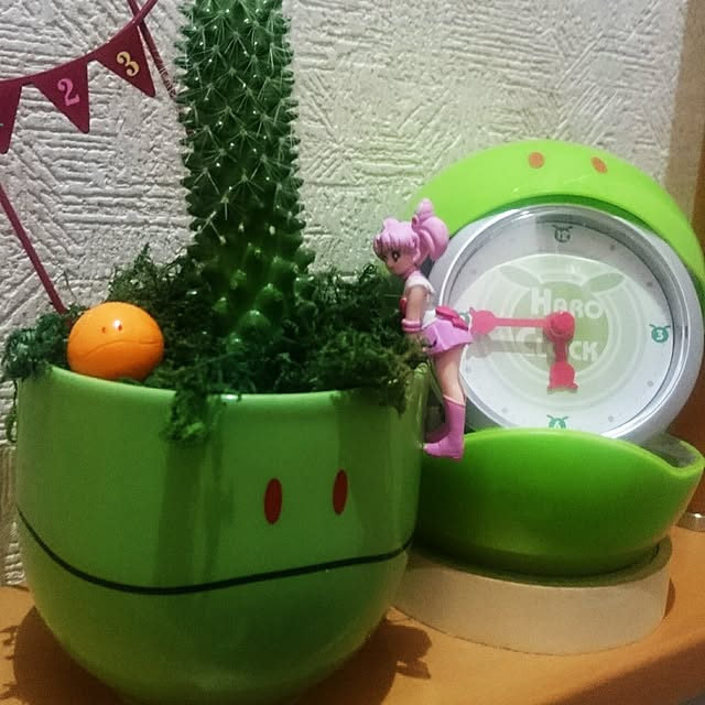 pitan321さんの実例写真