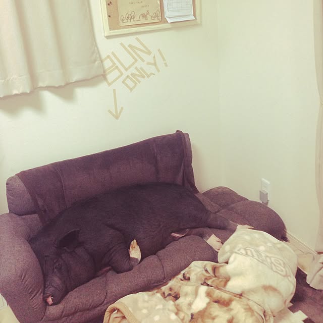 YukAさんの実例写真