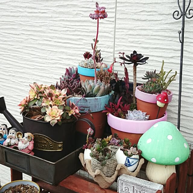 cocomilkさんの実例写真