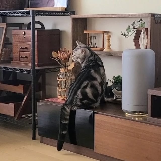 lovepeaceさんの実例写真