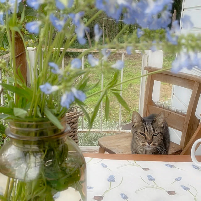 weさんの部屋