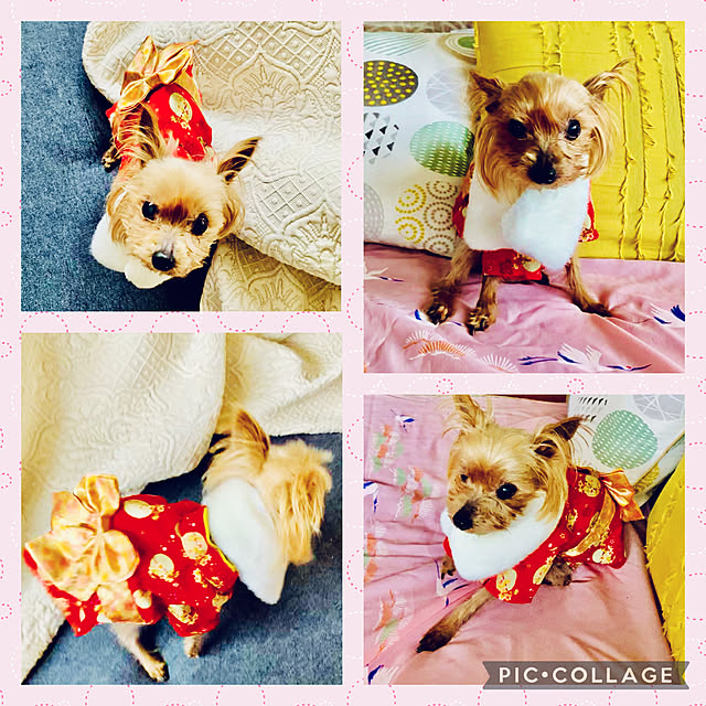 CoCo0617さんの実例写真