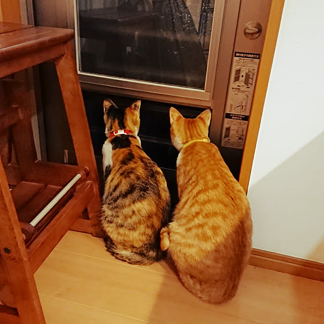 akiさんの実例写真