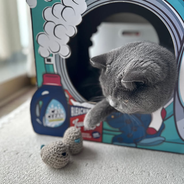 kittyさんの部屋