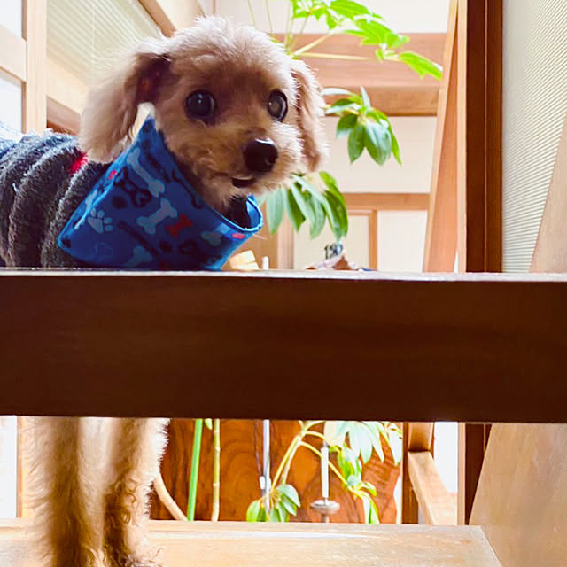chacoさんの実例写真