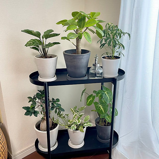 shidakaさんの部屋