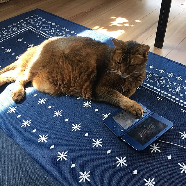 muuさんの実例写真