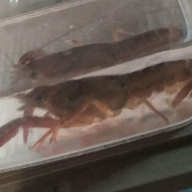 jさんの部屋