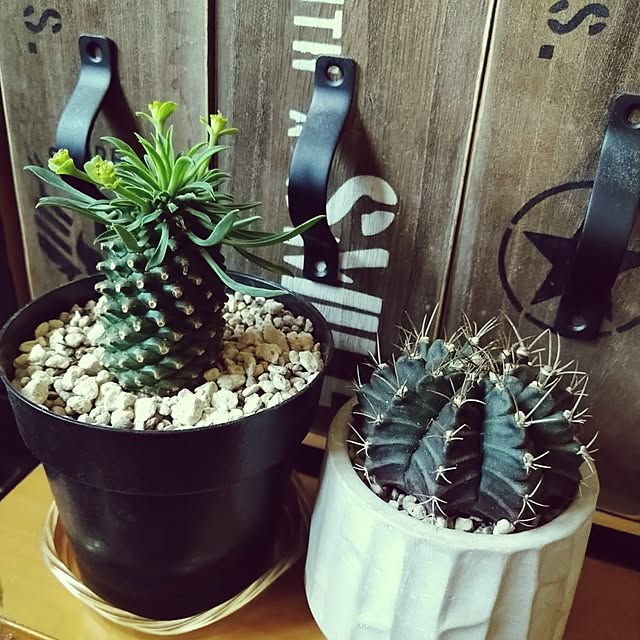 2menmamaさんの実例写真