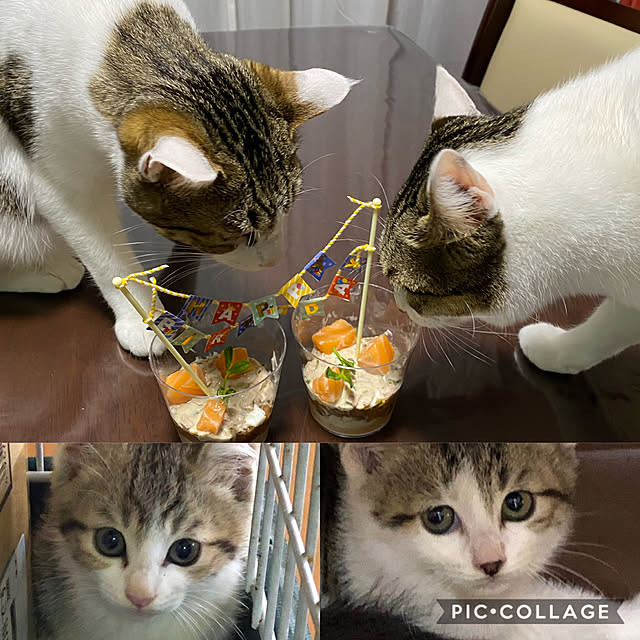 Lufuさんの実例写真
