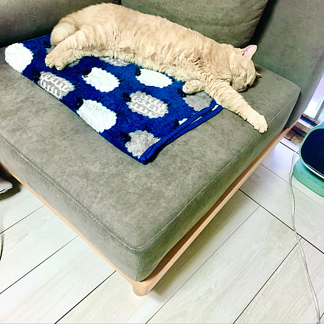 naokoさんの実例写真