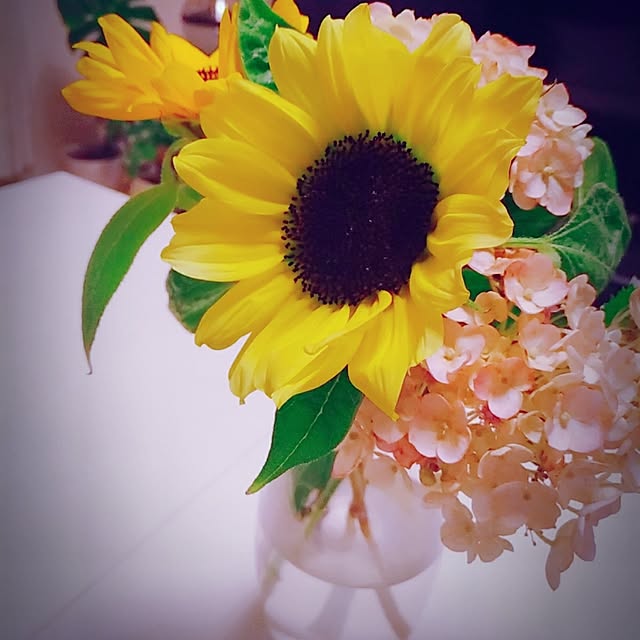 toraさんの実例写真
