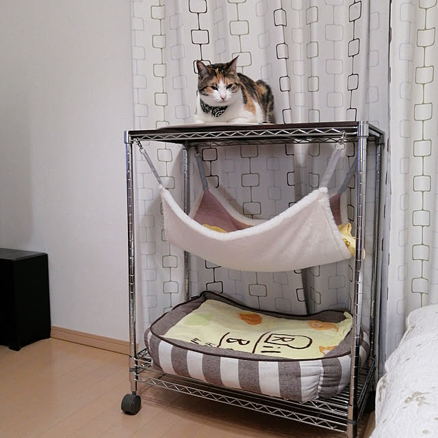 Naomiさんの実例写真