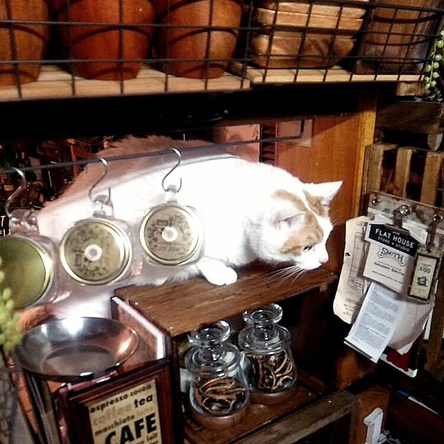 ugさんの実例写真