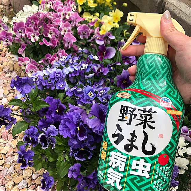 8717さんの実例写真