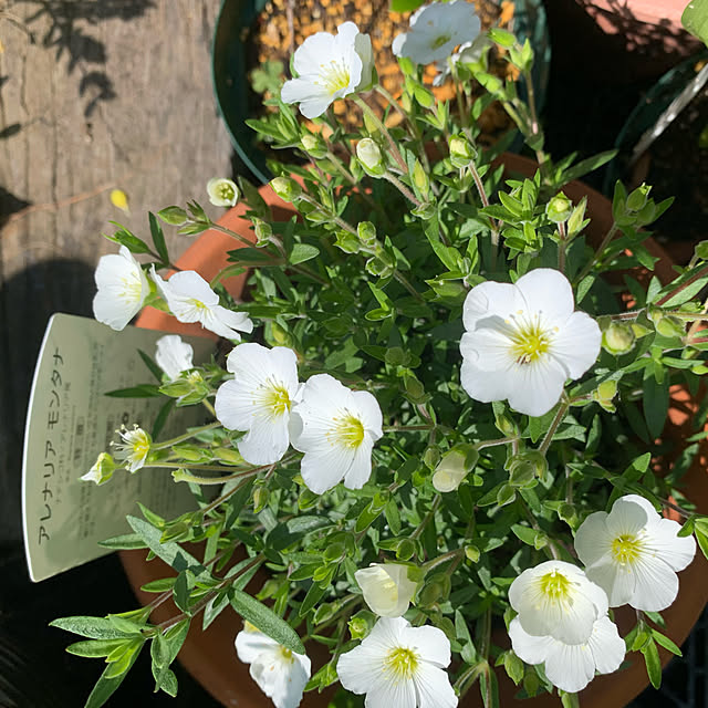 romiromiさんの実例写真