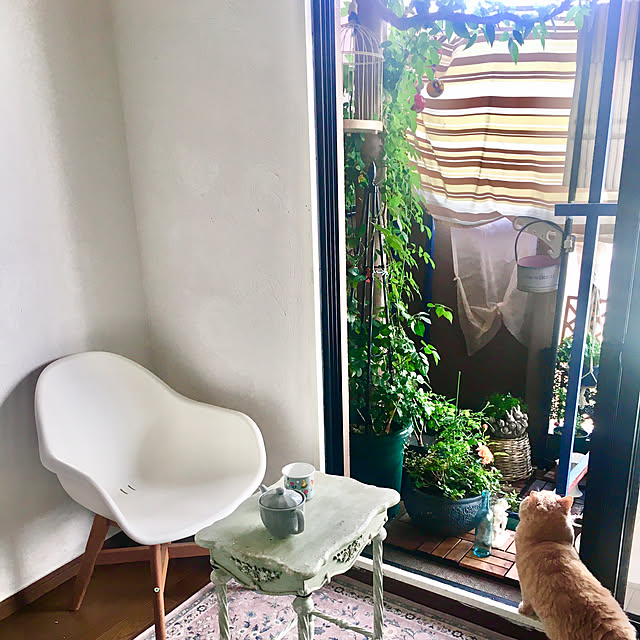 naokoさんの実例写真