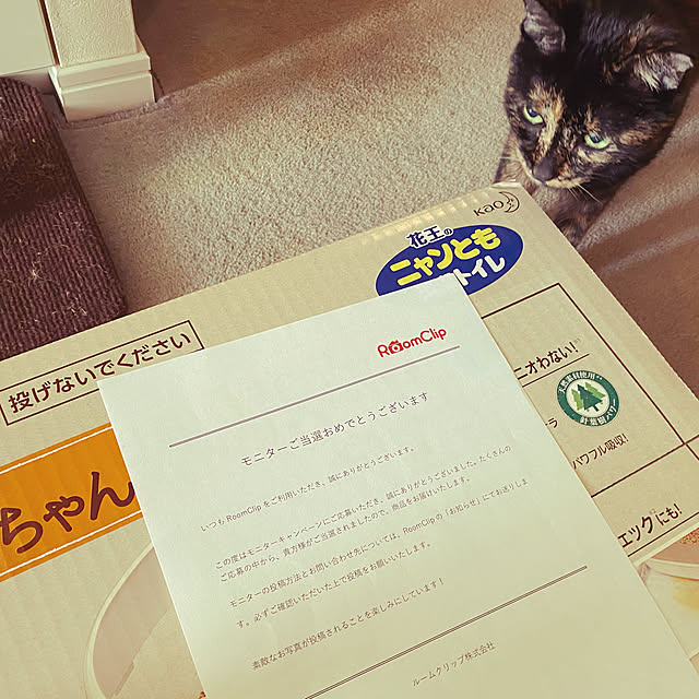 zinさんの実例写真