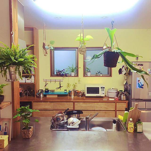 hopさんの実例写真