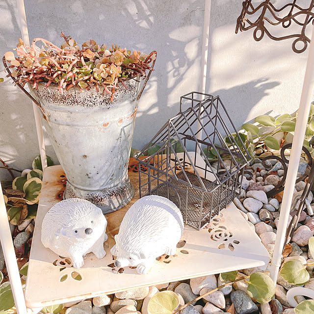 akiko-ovさんの部屋