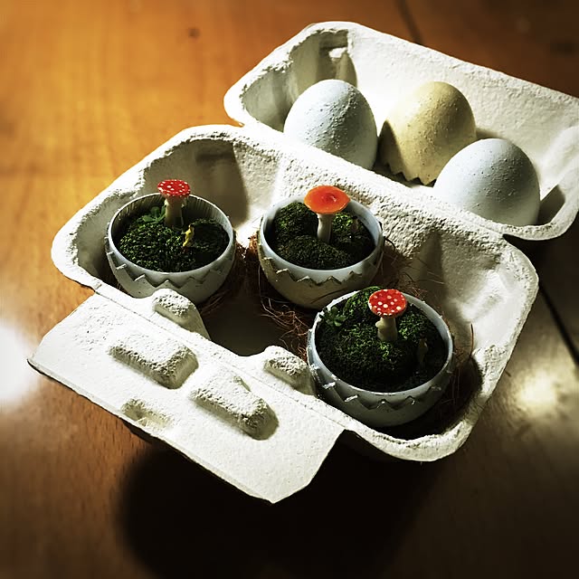 ramuchop3000さんの実例写真