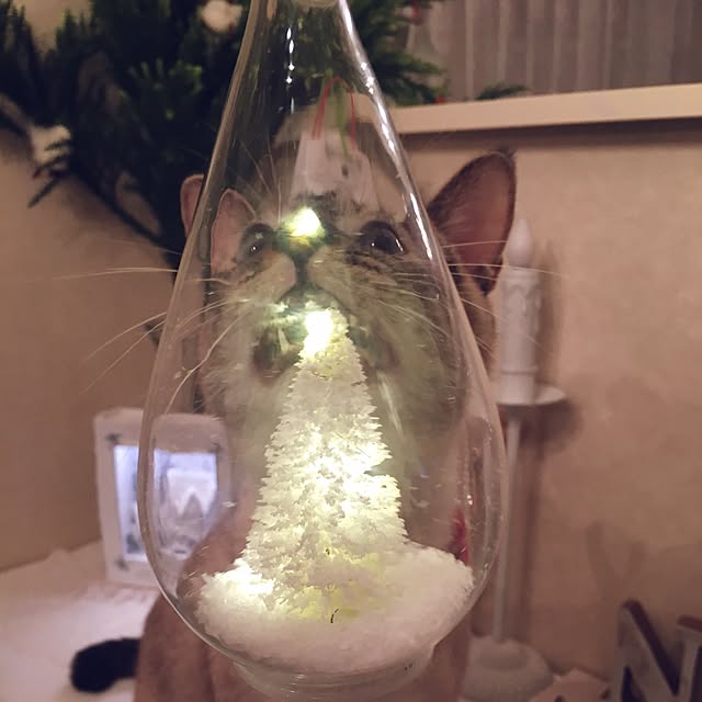 noelさんの実例写真