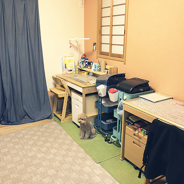 akiasaさんの実例写真