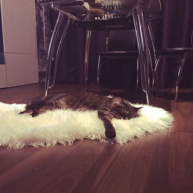 theo_nazcaさんの実例写真