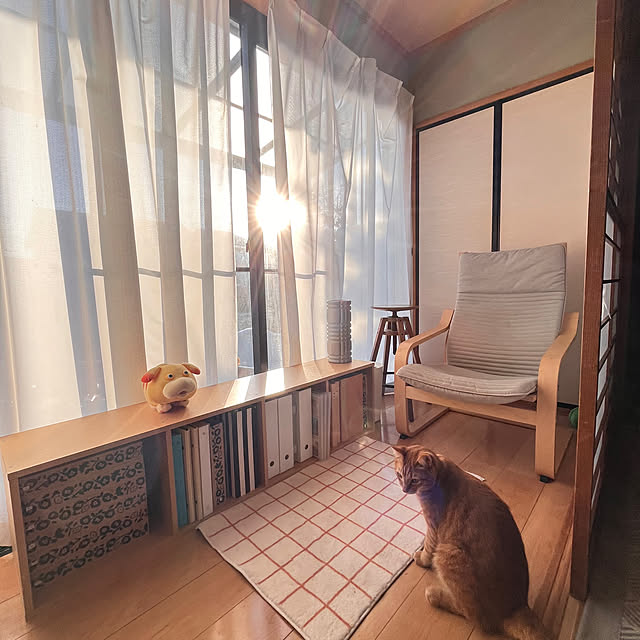 Amiさんの実例写真