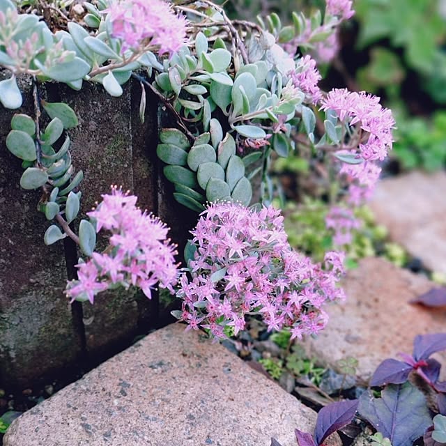 taeko0779さんの部屋