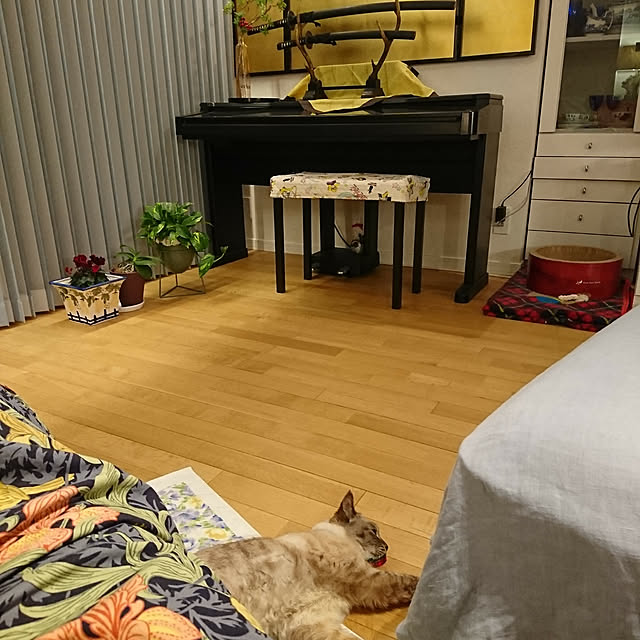 bonobono54さんの実例写真
