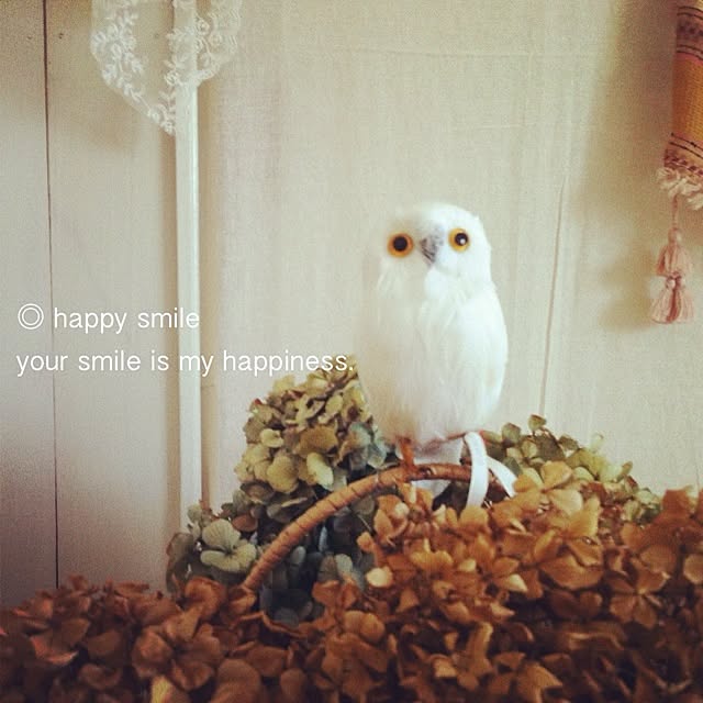 suzuさんの実例写真