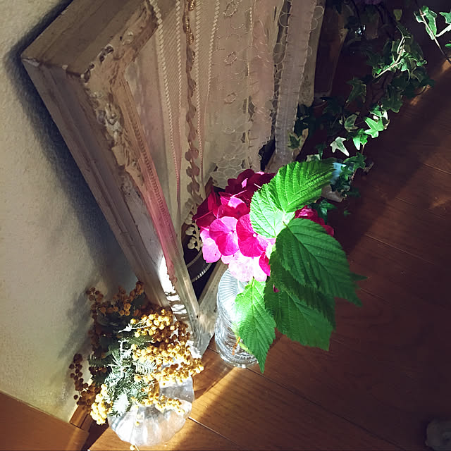 y---iさんの実例写真