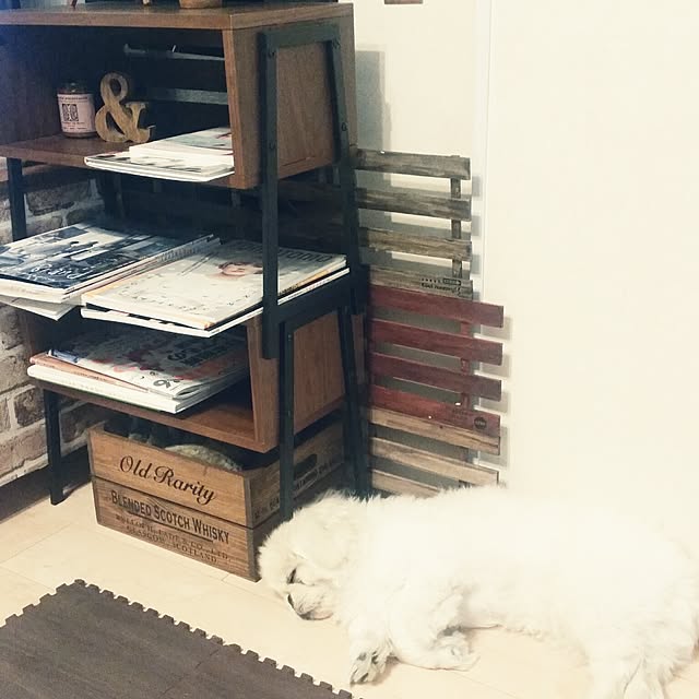yukagomaさんの実例写真