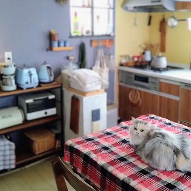 hiromi0302さんの実例写真