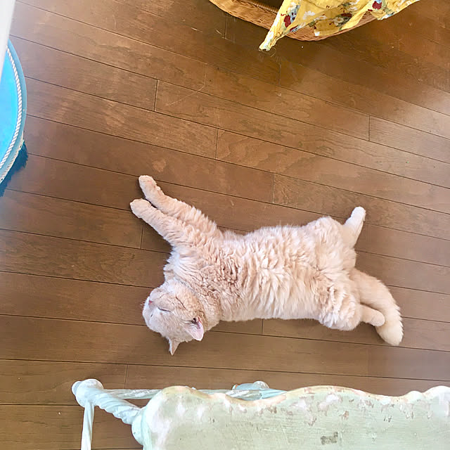 naokoさんの部屋