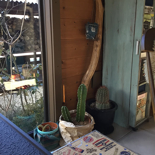 Siestaさんの実例写真