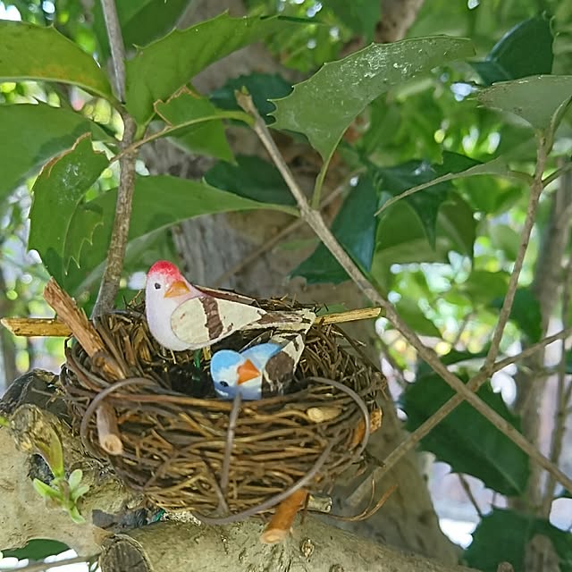 yukkyさんの実例写真