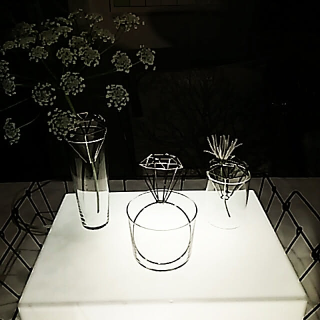 spinetailさんの実例写真