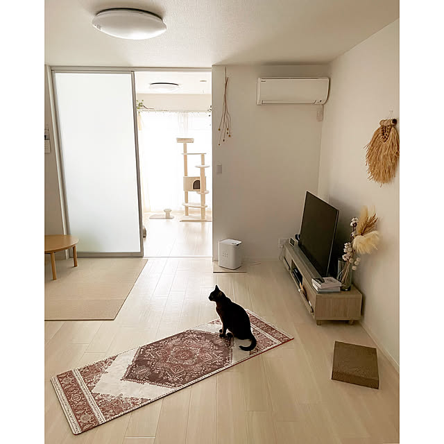 michunekoさんの実例写真